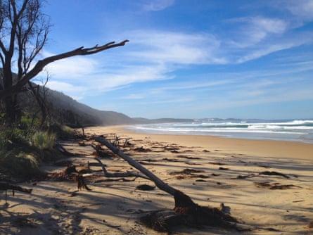 Three days on the Melbourne to Sydney coastal drive – travel guide | Road trips