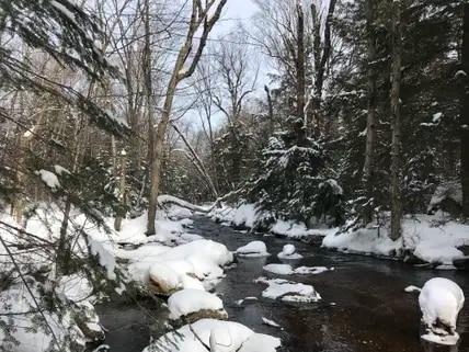 Winter in Ontario: A journey with lots of silence and snow