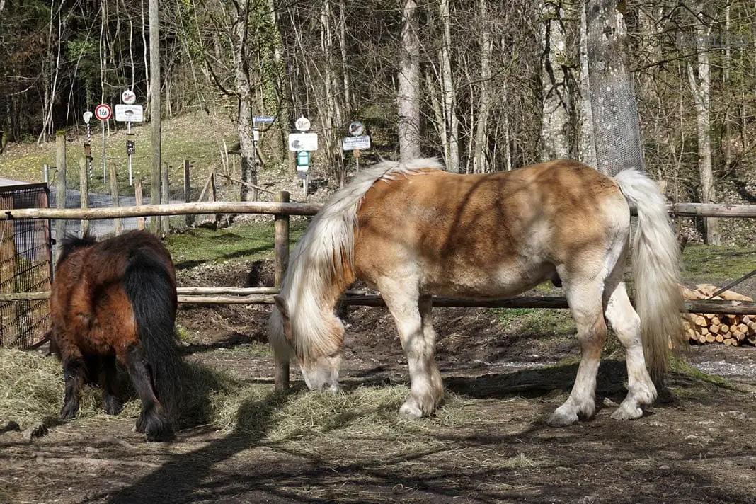 Excursions with children in NRW: 21 excursion destinations for families